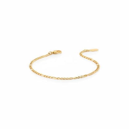 Figaro Anklet
