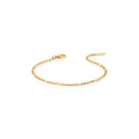 Figaro Anklet