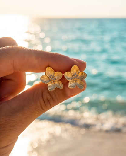 Cove Stud Earrings