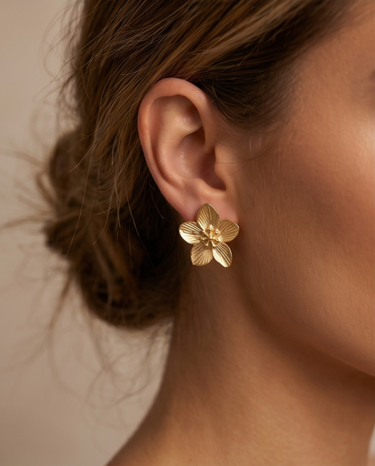 Cove Stud Earrings