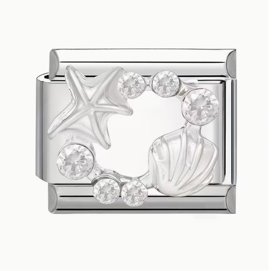 Silver Starfish & Shell